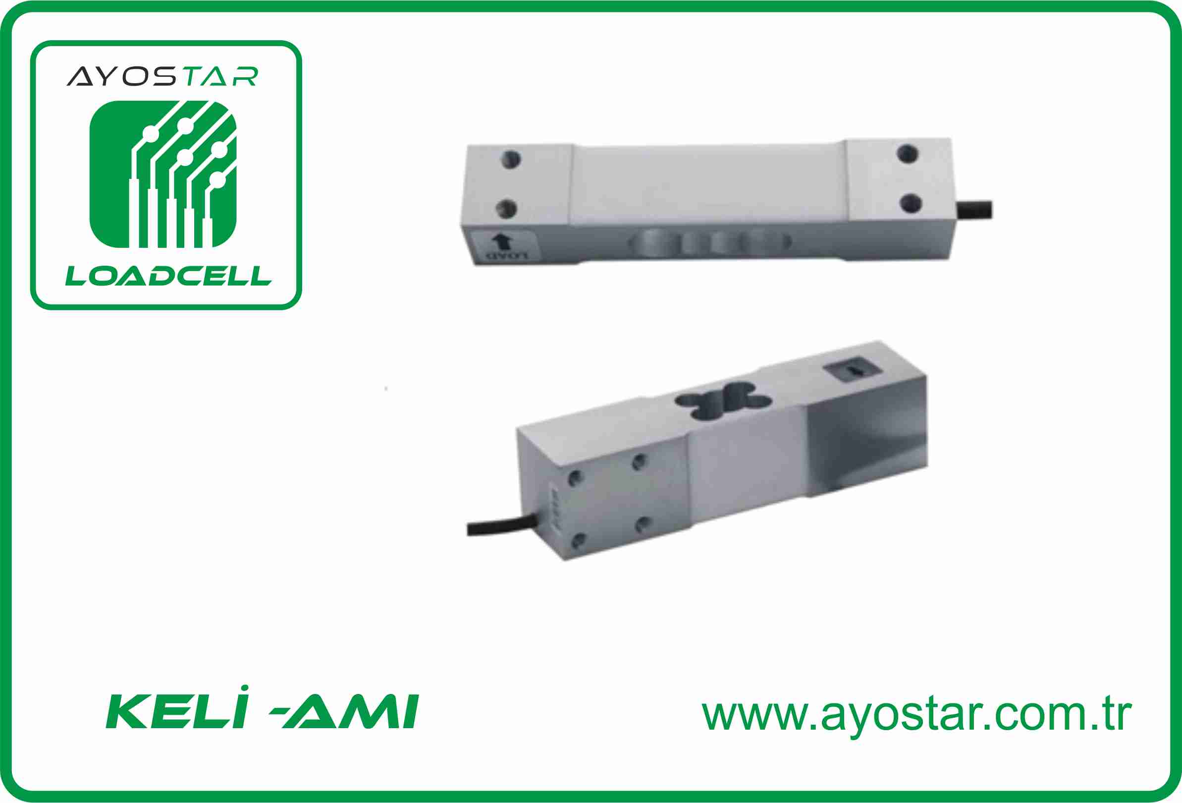 KELİ AMI